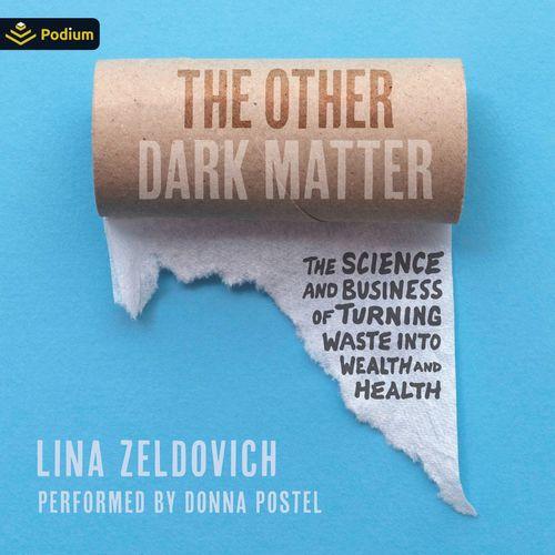 The Other Dark Matter