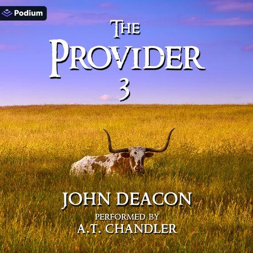 The Provider 3