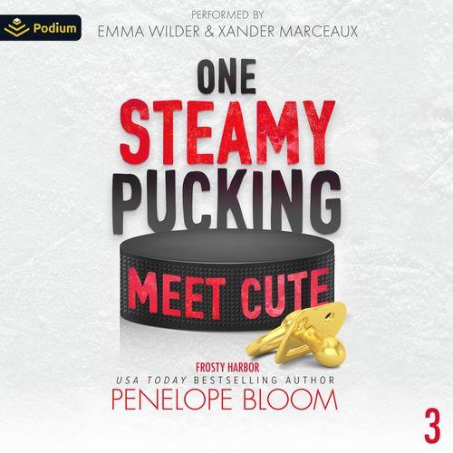 One Steamy Pucking Meet Cute